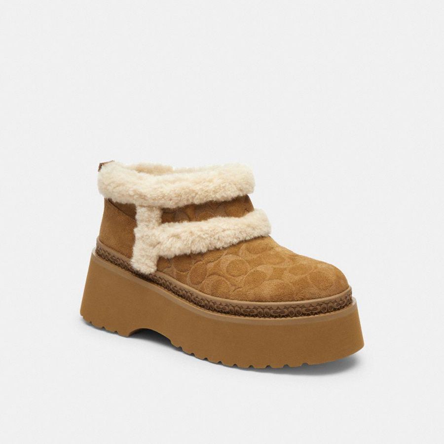 Botas COACH Mujer Marrones | 649-ILCVXO