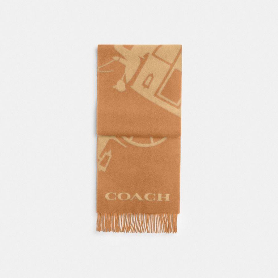 Bufanda COACH Hombre Marrones | 894-ODPQCA