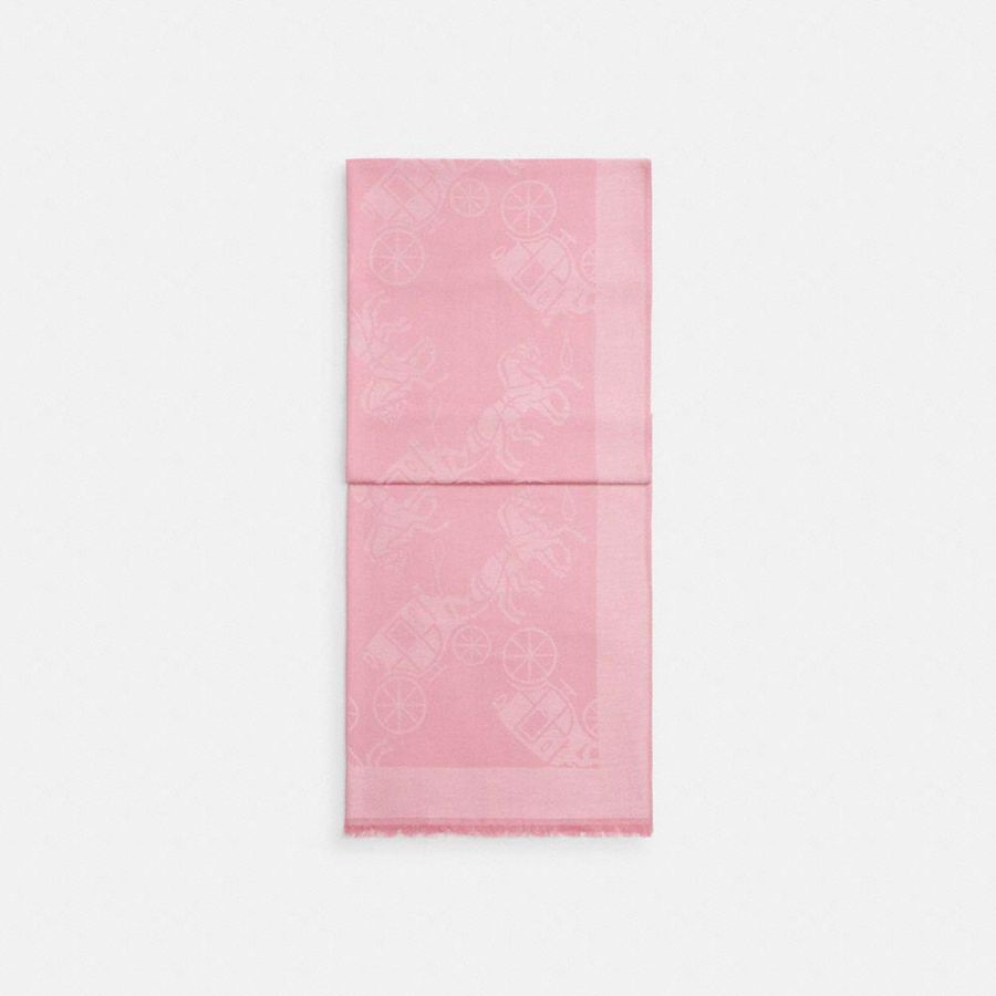 Bufanda COACH Mujer Rosas | 549-OUTXRS