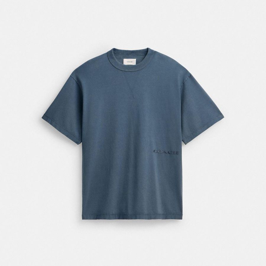 Camiseta COACH Hombre Azules | 380-YGCIML