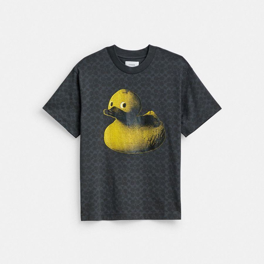 Camiseta COACH Hombre Gris | 318-OXKGZF
