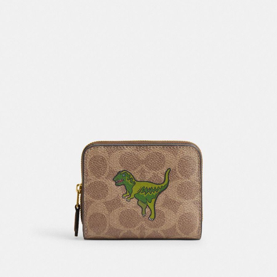 Cartera COACH Mujer Marrones | 684-ZBSEDP