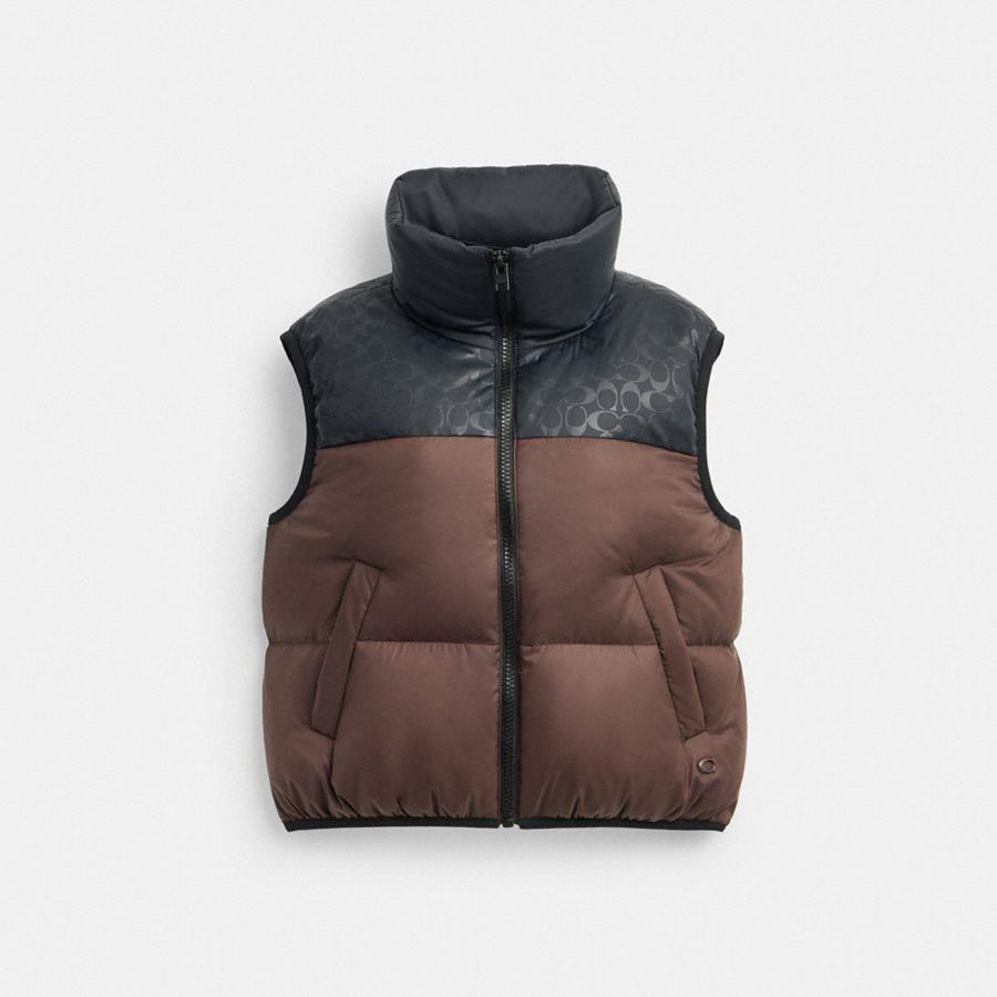 Chaleco COACH Mujer Marrones | 589-ZGRFIO