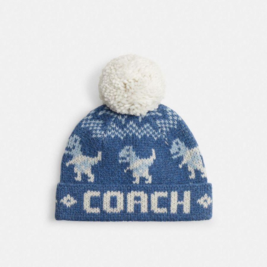 Gorro COACH Hombre Azules | 843-QYKRFU