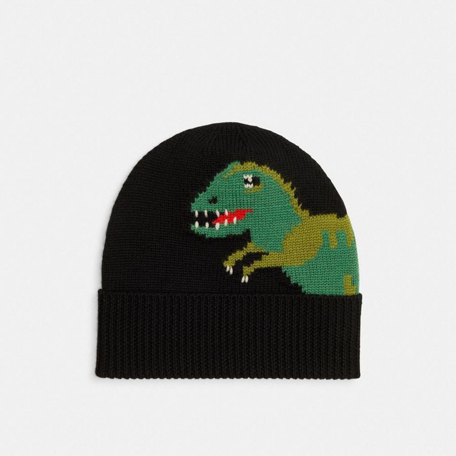Gorro COACH Hombre Negras | 146-IBTYJG