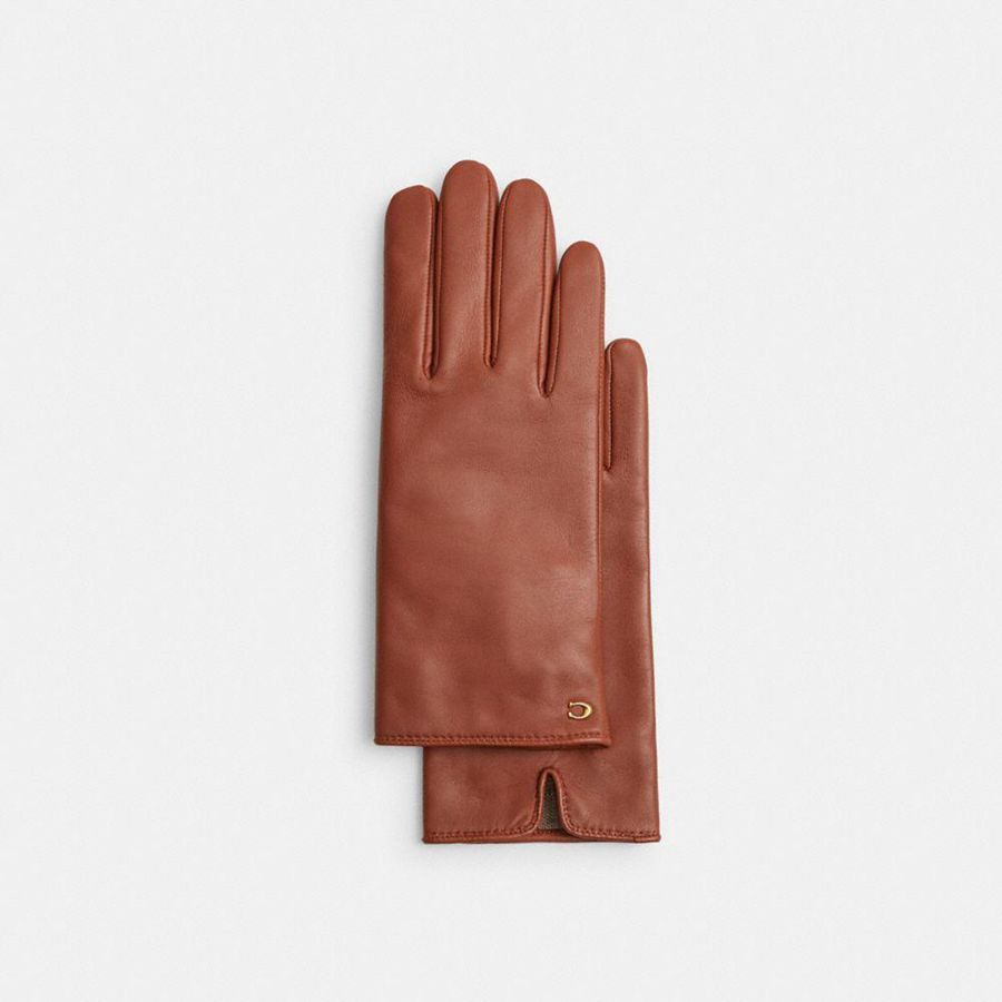 Guantes COACH Mujer Marrones | 367-OAIPNR