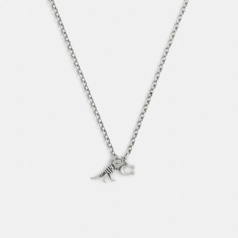 Joyeria COACH Mujer Plateadas | 098-QWPTIM