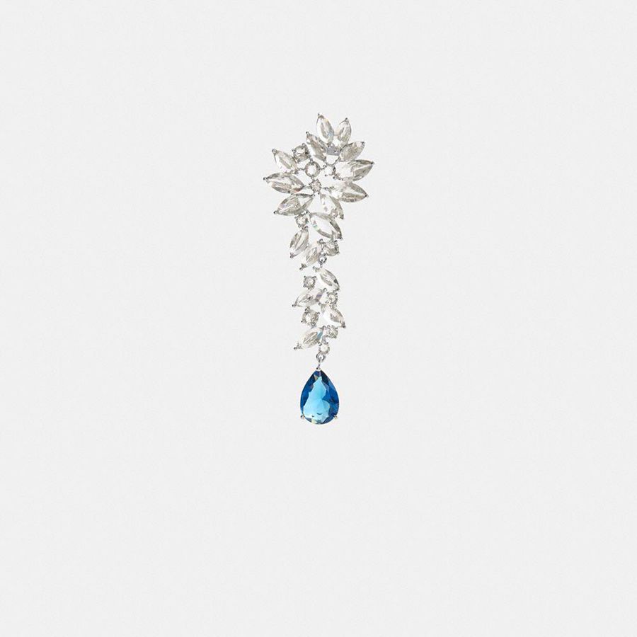 Joyeria COACH Mujer Plateadas | 895-WNMVPH