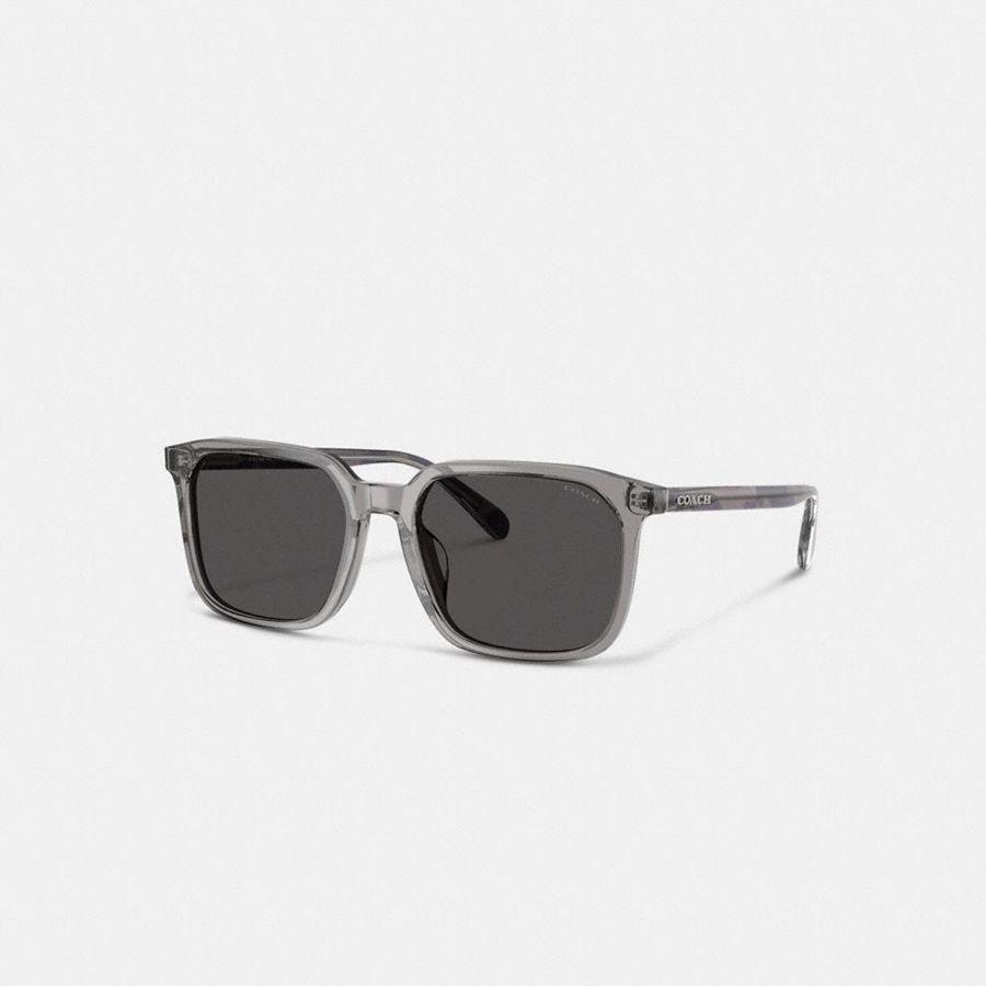 Lentes de Sol COACH Hombre Gris | 239-CRVUOP