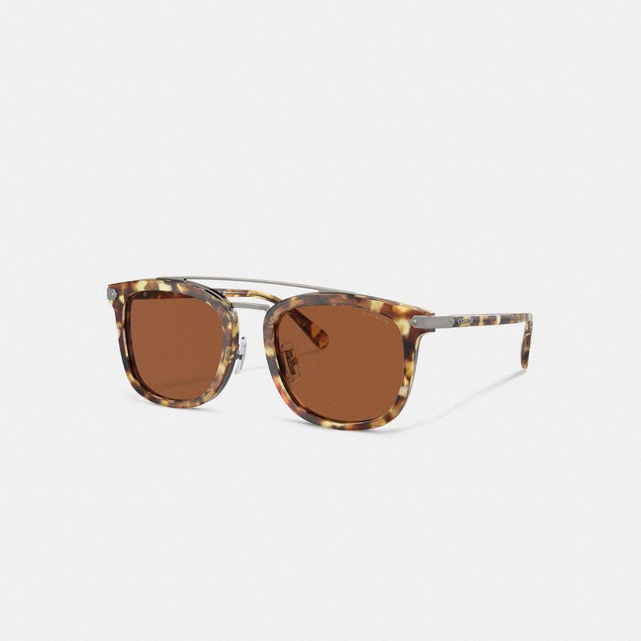 Lentes de Sol COACH Hombre Marrones | 281-OYBCJN