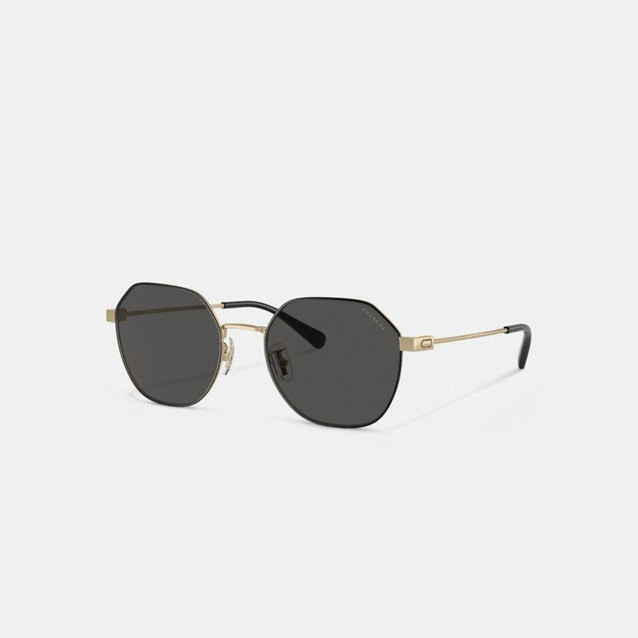 Lentes de Sol COACH Hombre Negras | 360-MNHOTS