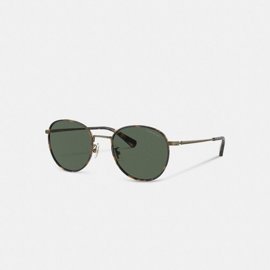Lentes de Sol COACH Hombre Verde | 916-MZHJIS