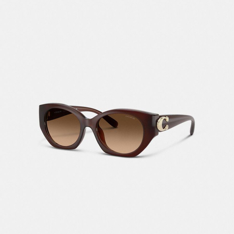 Lentes de Sol COACH Mujer Marrones | 349-FOCWJT