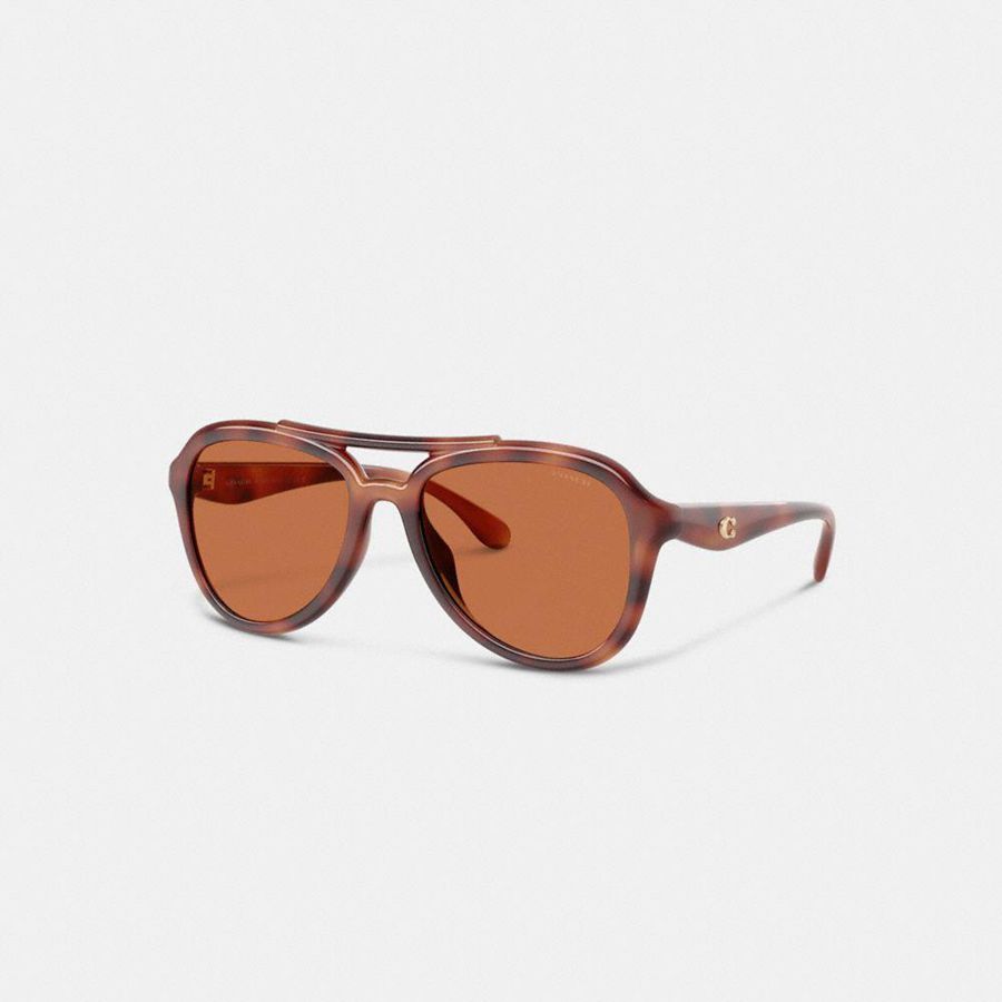 Lentes de Sol COACH Mujer Marrones | 401-DVPCXL