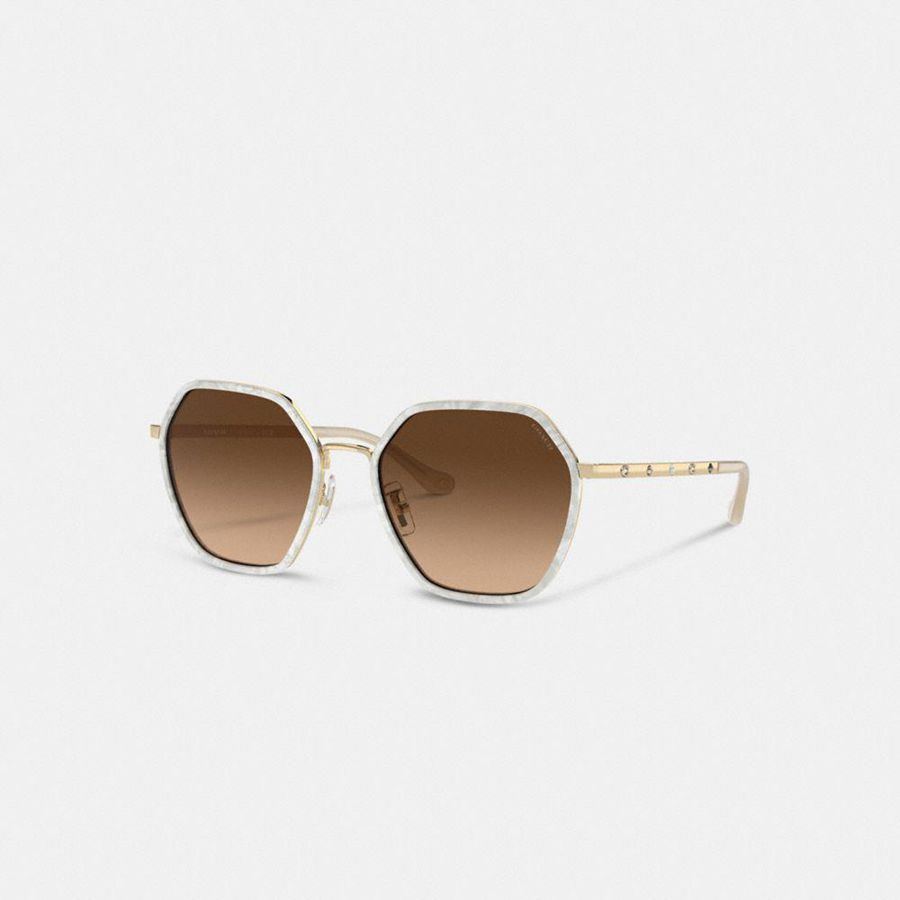 Lentes de Sol COACH Mujer Marrones | 610-LIEAWT