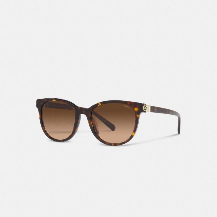 Lentes de Sol COACH Mujer Marrones | 639-LBDWRJ