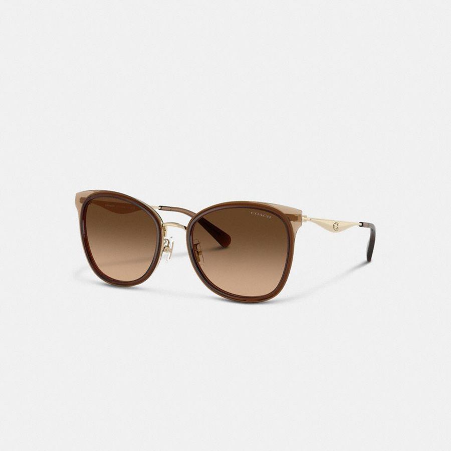 Lentes de Sol COACH Mujer Marrones | 761-IUHSNA