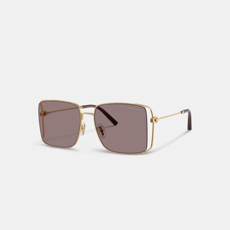 Lentes de Sol COACH Mujer Moradas | 194-WSFDQC