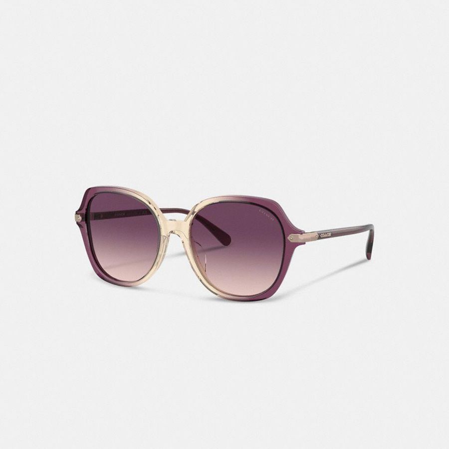 Lentes de Sol COACH Mujer Moradas | 956-JURSXF