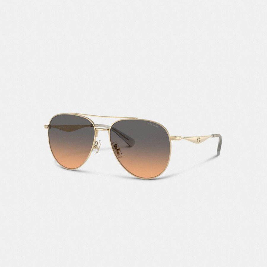 Lentes de Sol COACH Mujer Negras | 049-BHZVOW