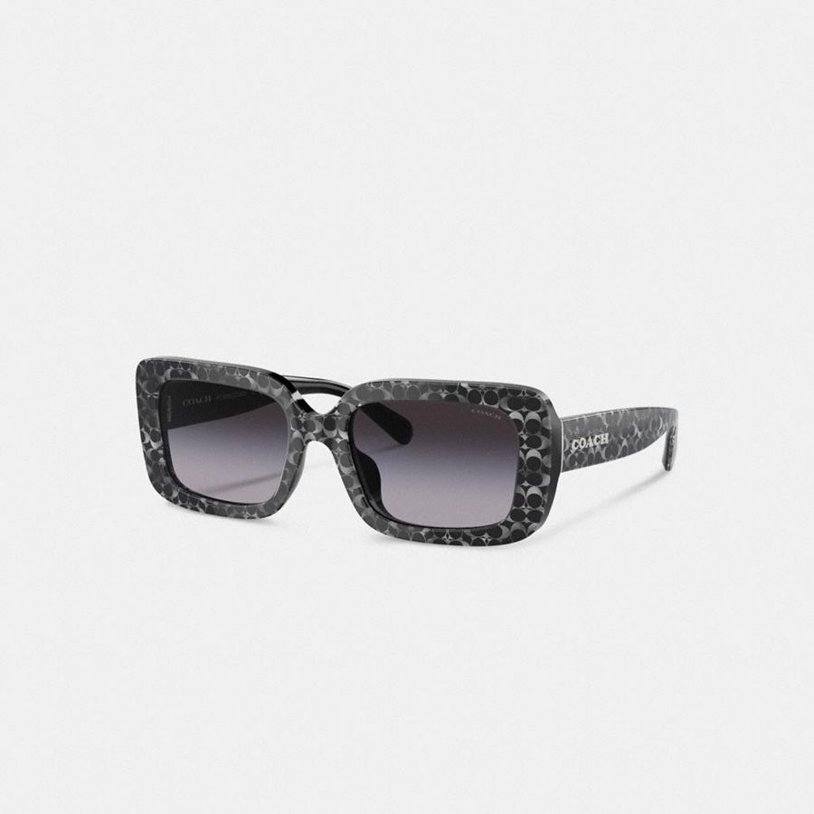 Lentes de Sol COACH Mujer Negras | 260-MGDZSO