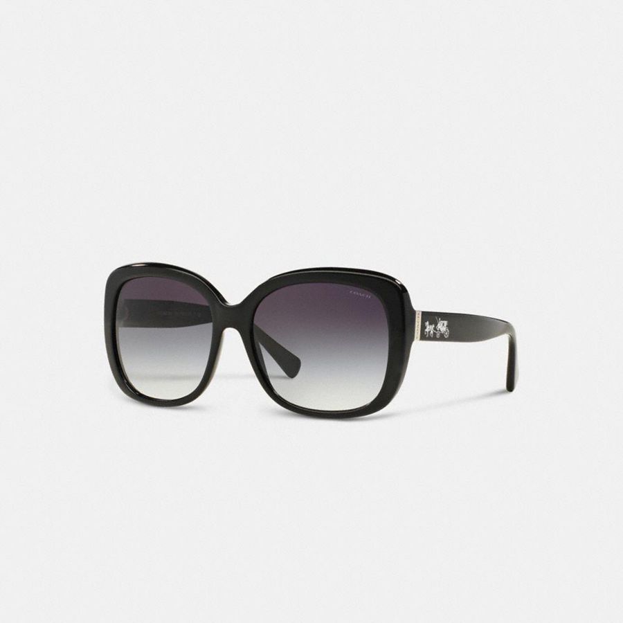 Lentes de Sol COACH Mujer Negras | 701-GSTIZN