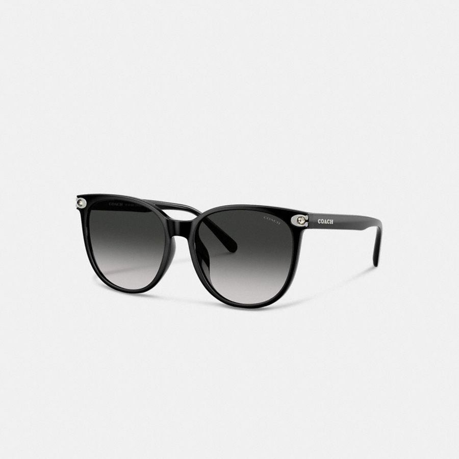Lentes de Sol COACH Mujer Negras | 795-WDZBUC