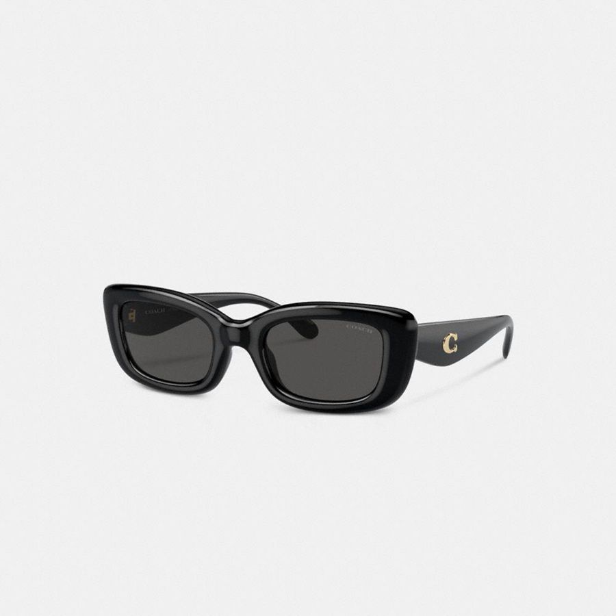 Lentes de Sol COACH Mujer Negras | 843-SZTUGB