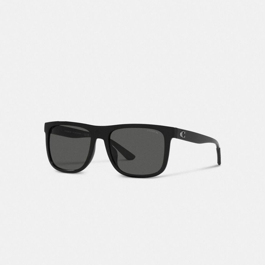 Lentes de Sol COACH Mujer Negras | 843-VQJXNL