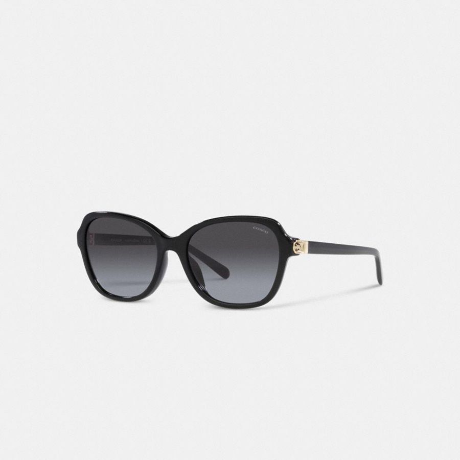 Lentes de Sol COACH Mujer Negras | 870-QGBIMC