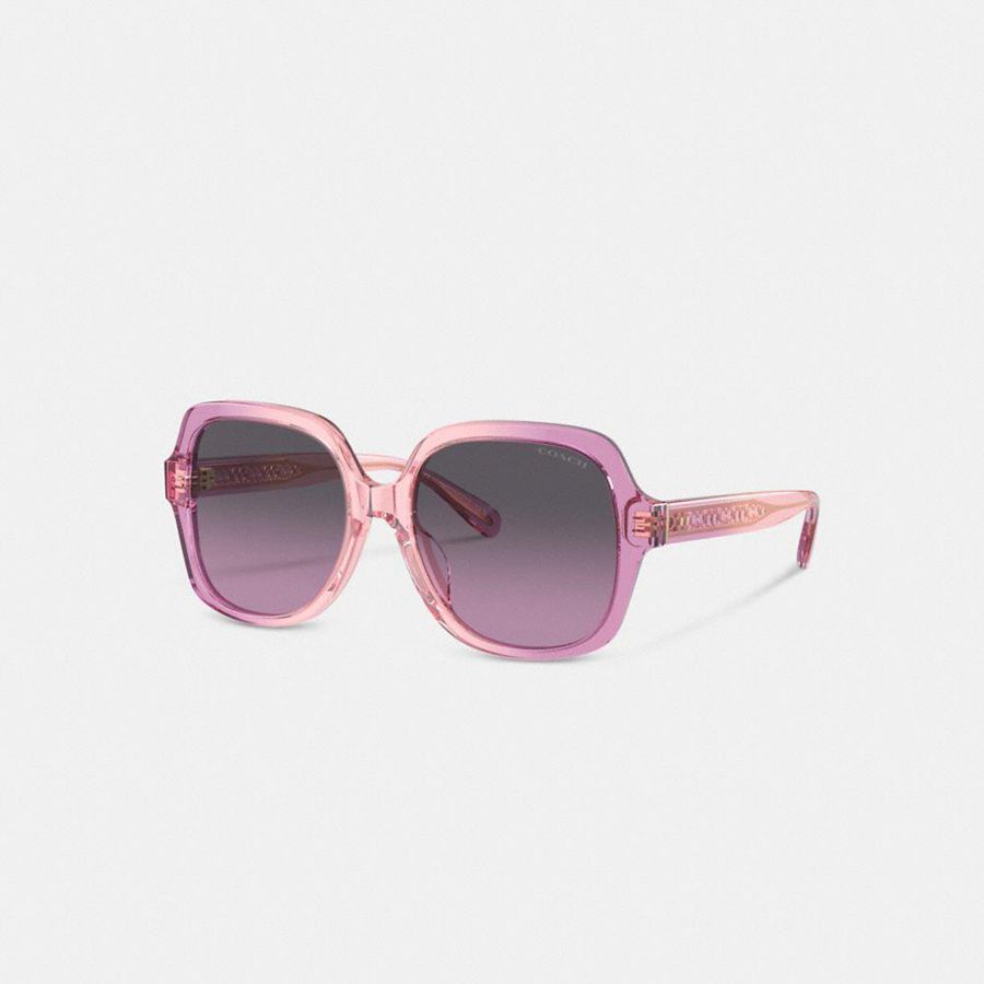 Lentes de Sol COACH Mujer Rosas | 309-PCRGWU