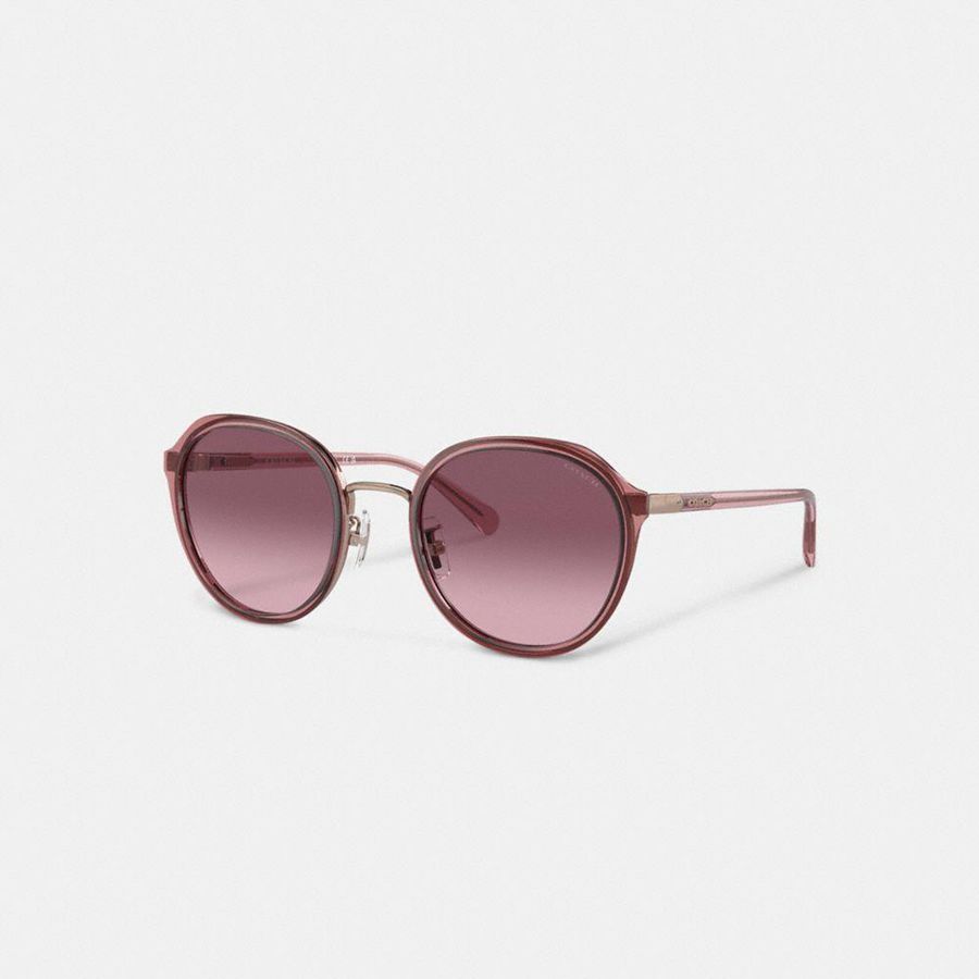 Lentes de Sol COACH Mujer Rosas | 320-MXWBPJ