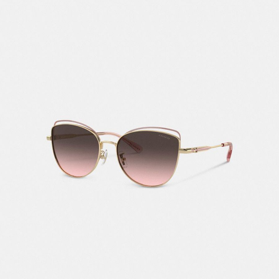Lentes de Sol COACH Mujer Rosas | 574-IEYCKR