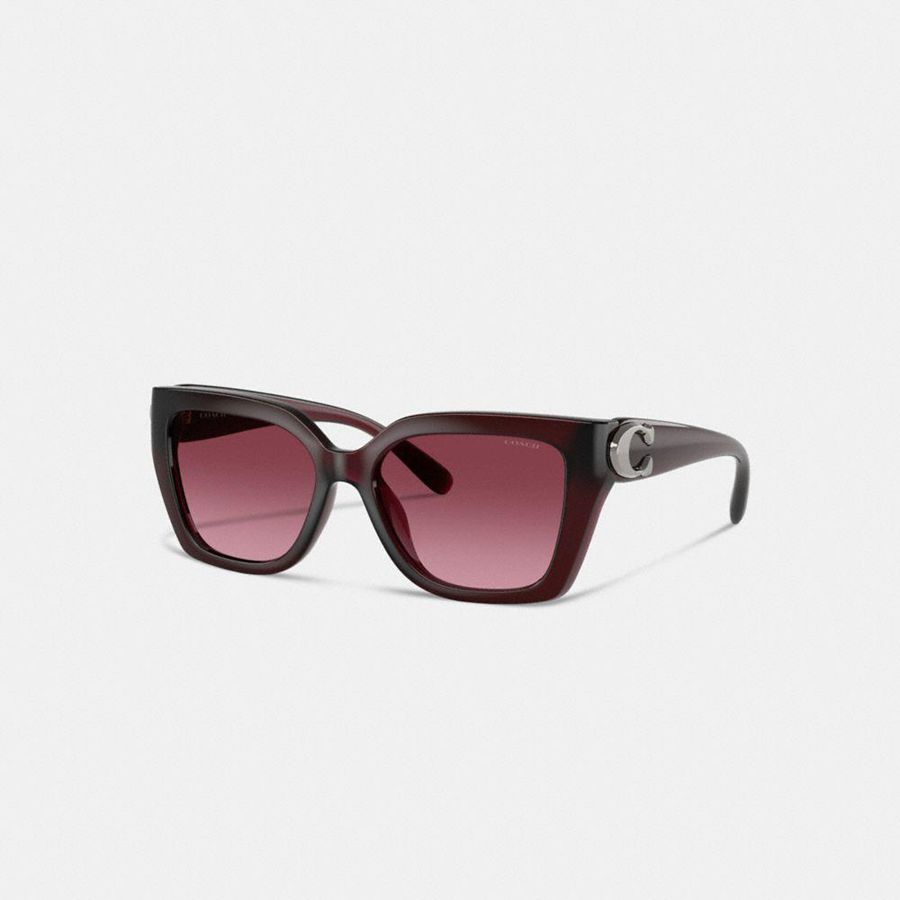 Lentes de Sol COACH Mujer Rosas | 679-MOBEAY