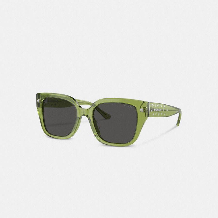 Lentes de Sol COACH Mujer Verde | 307-SCZTFK