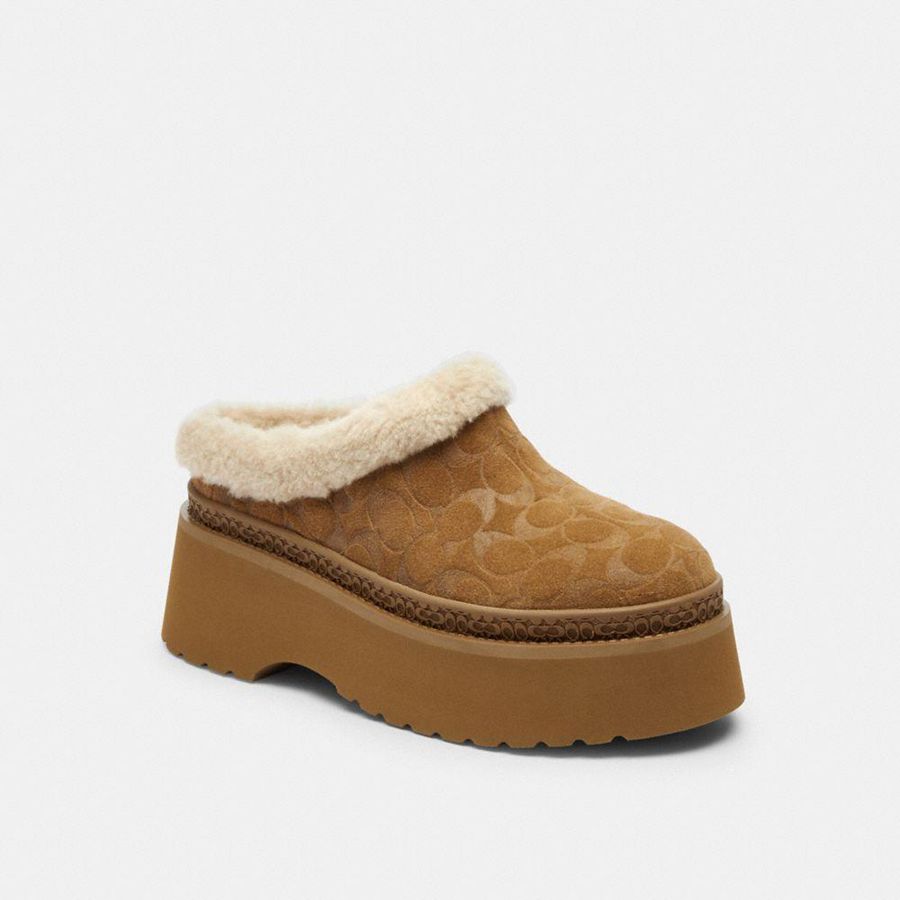 Mocasines COACH Mujer Marrones | 859-NFBKVM