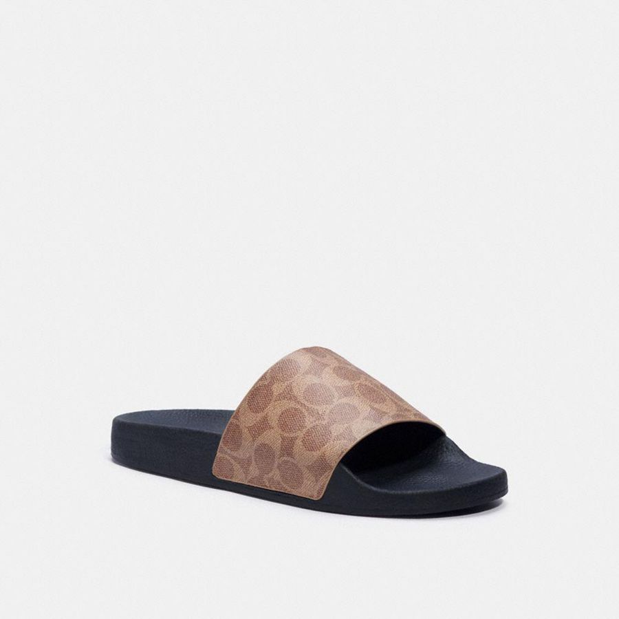 Sandalias COACH Hombre Marrones | 561-EXCHPL