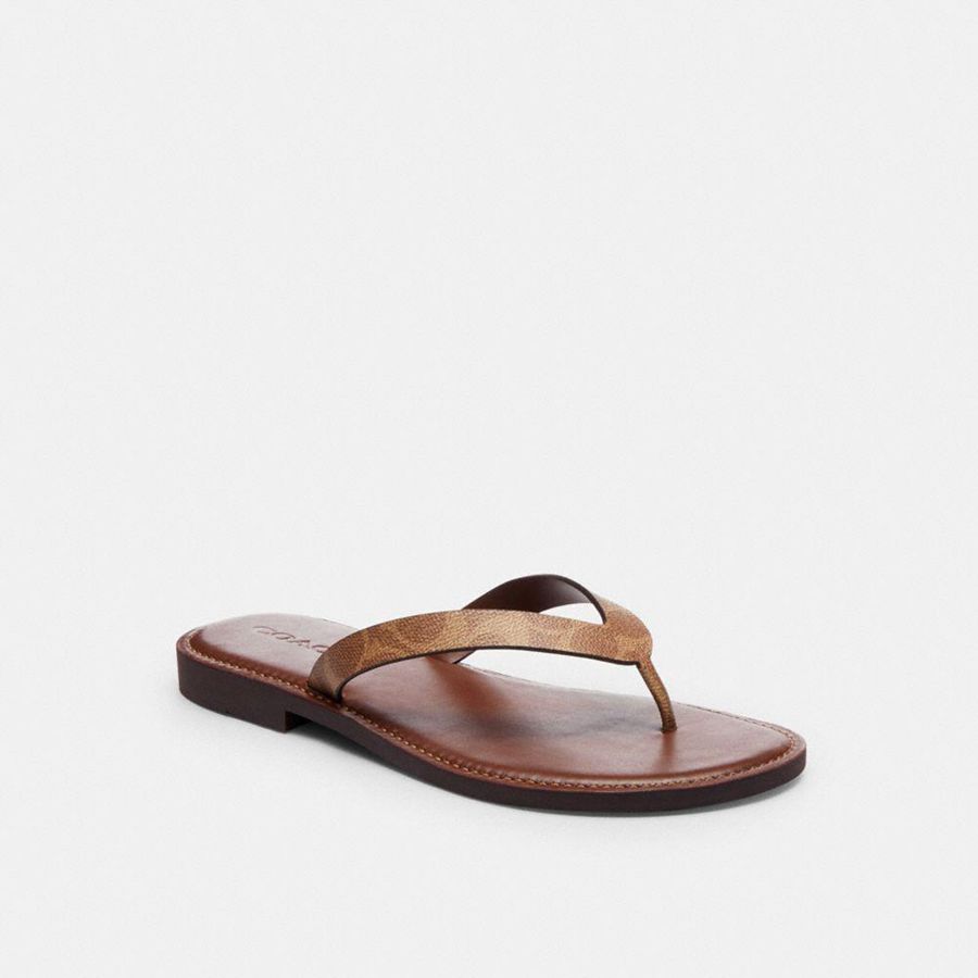 Sandalias COACH Mujer Marrones | 089-IGBRVA