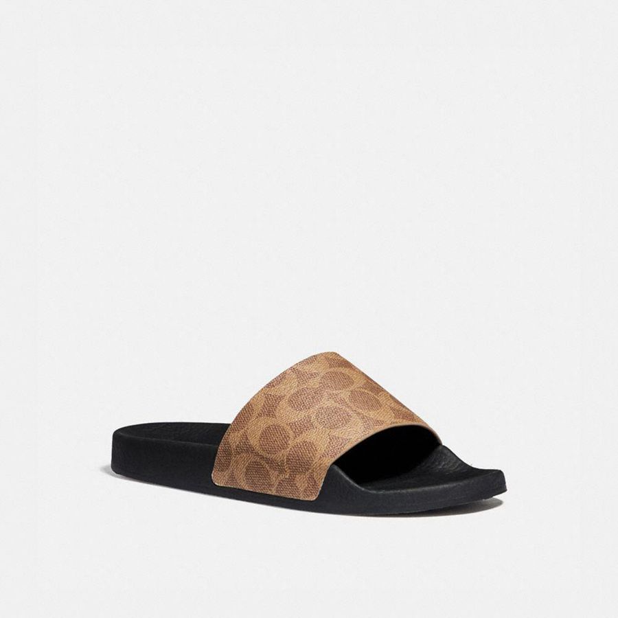 Sandalias COACH Mujer Marrones | 093-ACPJGO