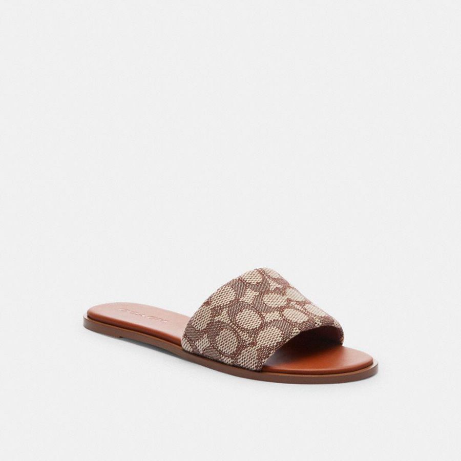 Sandalias COACH Mujer Marrones | 639-WVMZPR