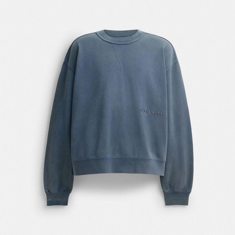 Sudadera COACH Hombre Azules | 529-SGQHCP