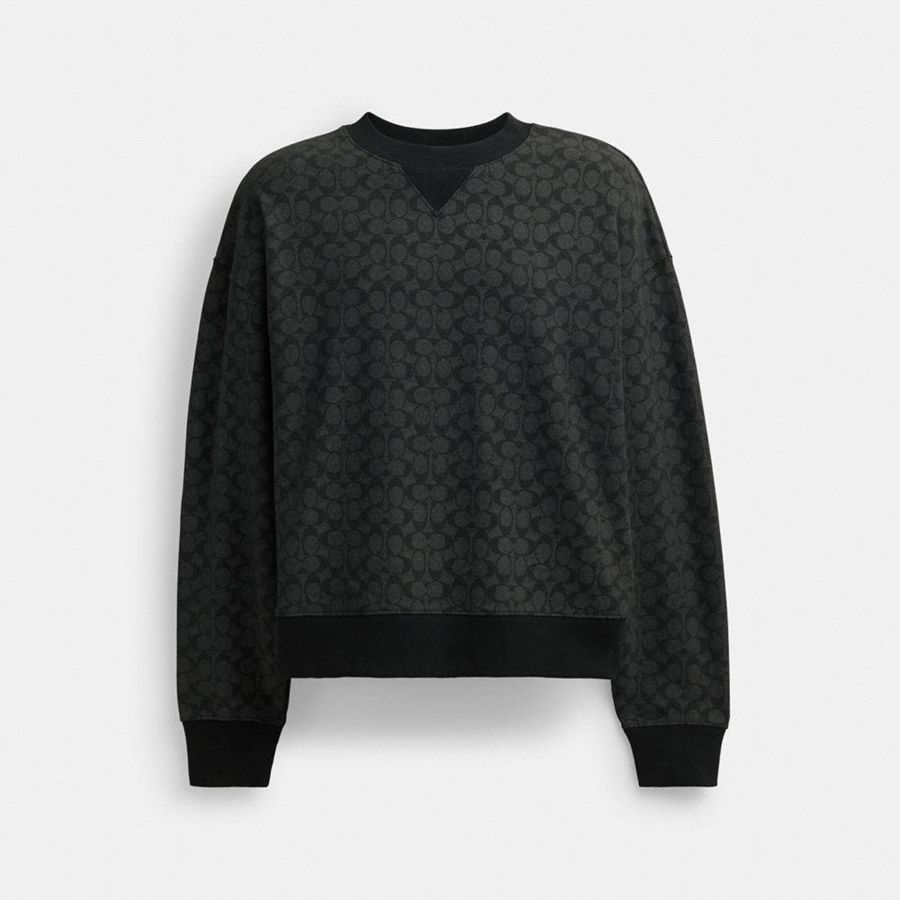 Sudadera COACH Hombre Gris | 026-IEPRJO